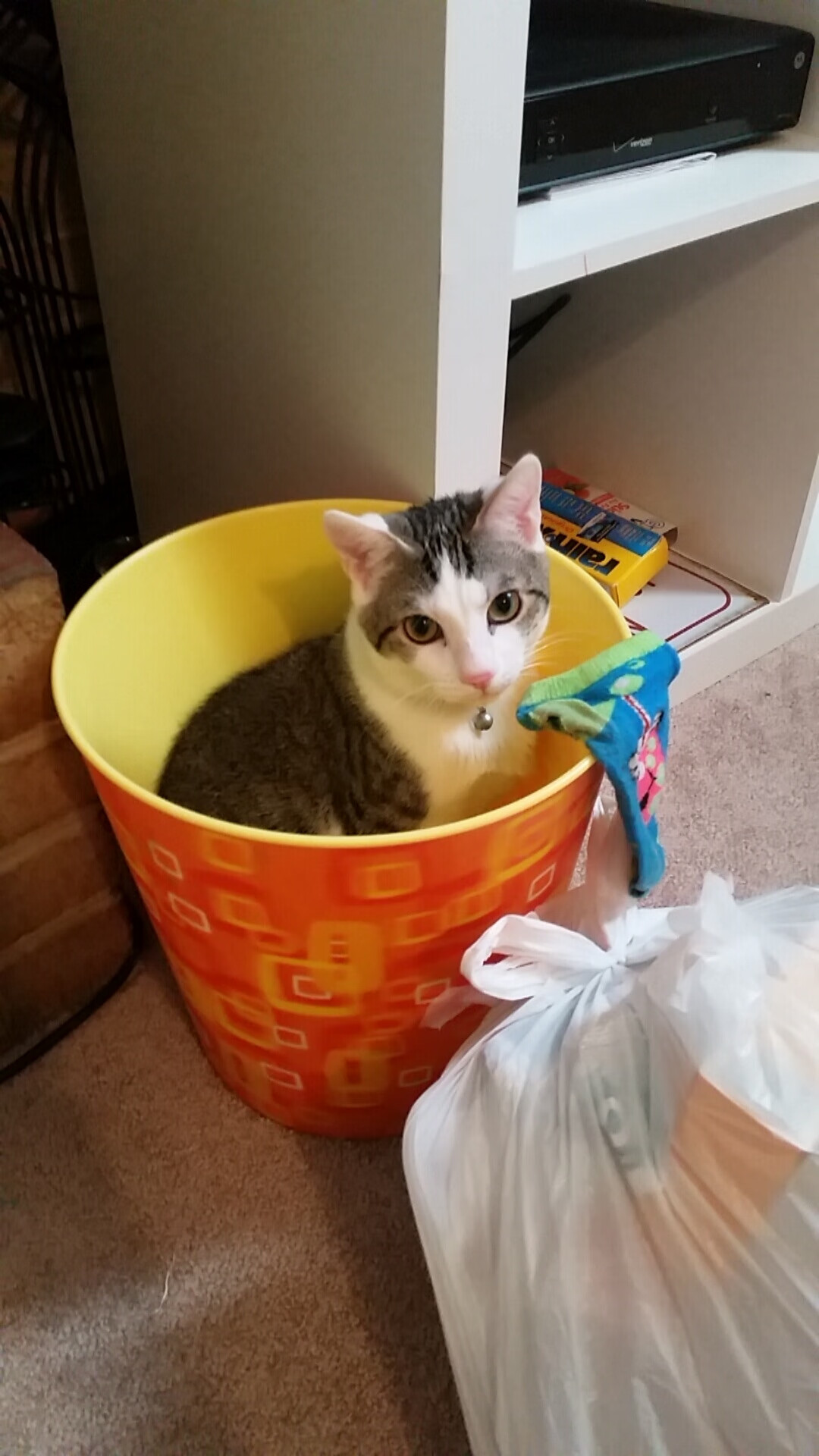 DB彩票-赛道与绿茵场，当F1悬念在英格兰终结，西班牙见证新王诞生